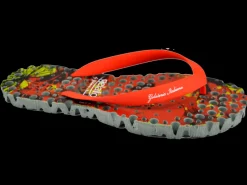 MERINGA FLOWER REDGREY-Gelattto Fashion